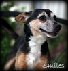 Smiles