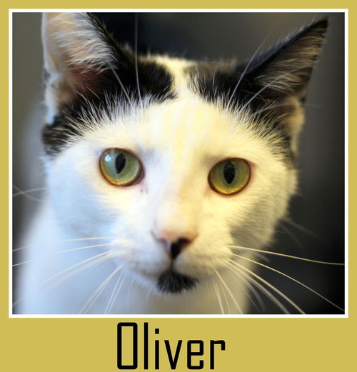 Oliver