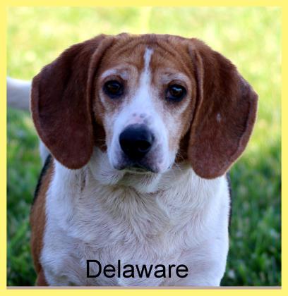 Delaware