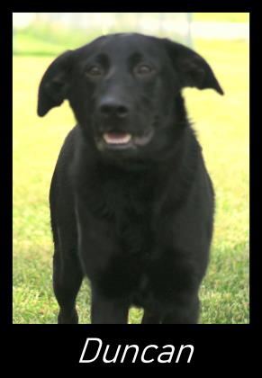 Duncan