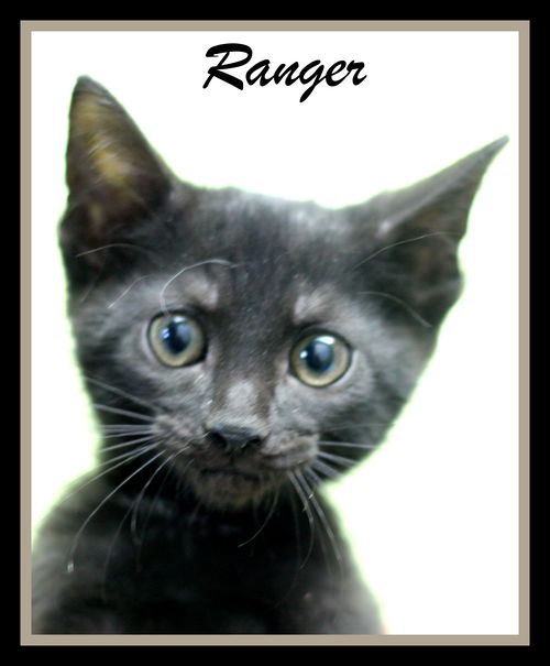 Ranger