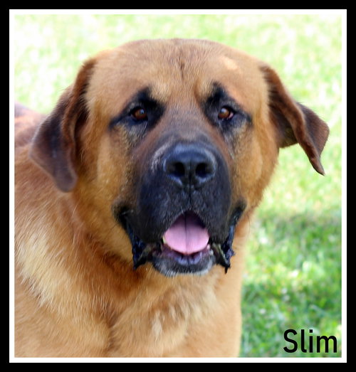 Slim Fred