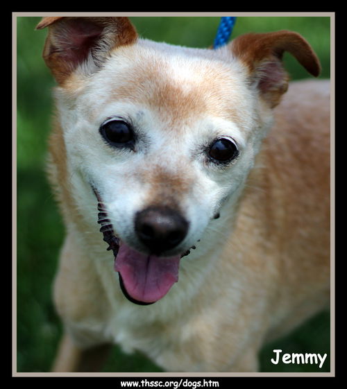 Jemmy