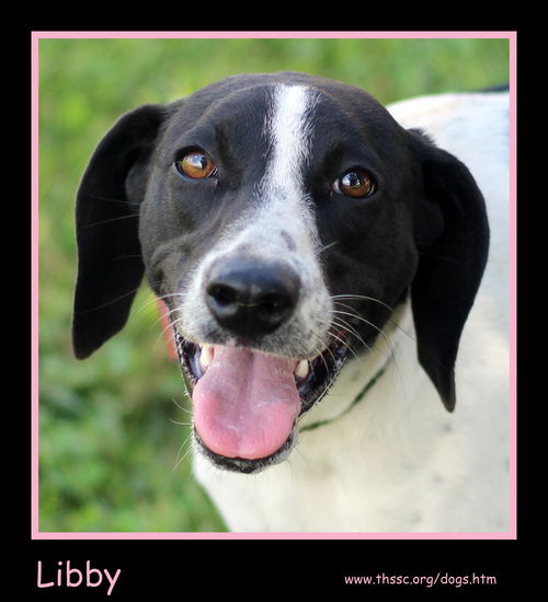Libby