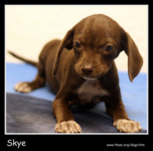 Skye