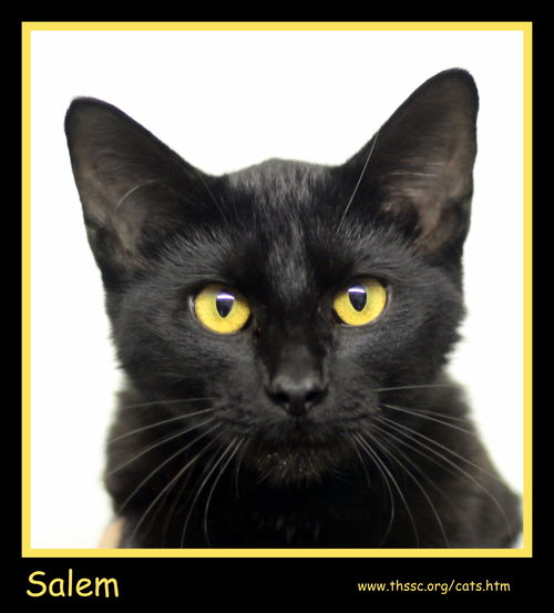 Salem