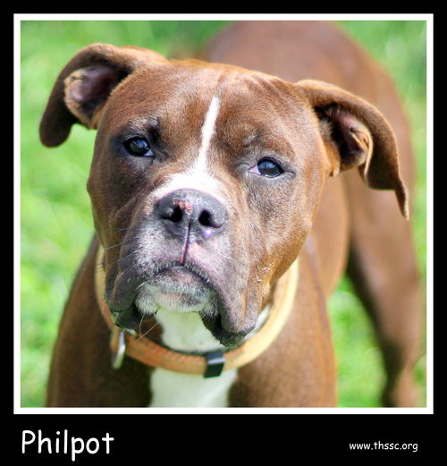 Philpot