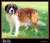 Bella