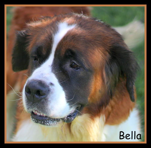 Bella