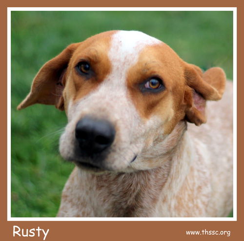 Rusty