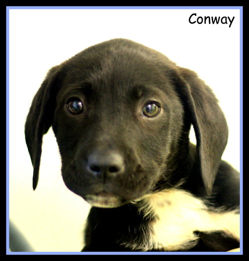 Conway