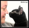 Buttercup