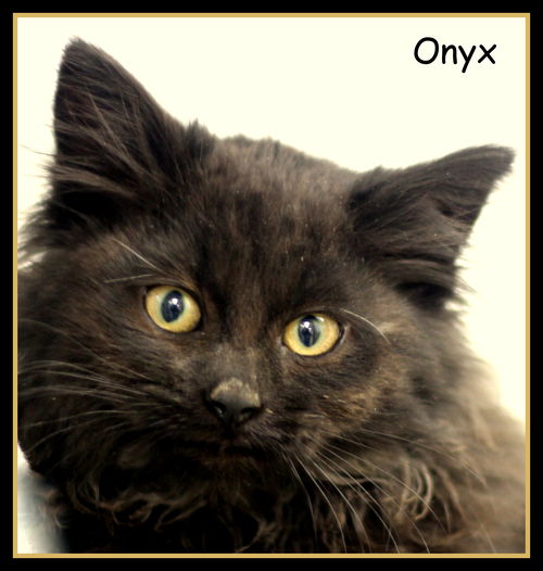 Onyx