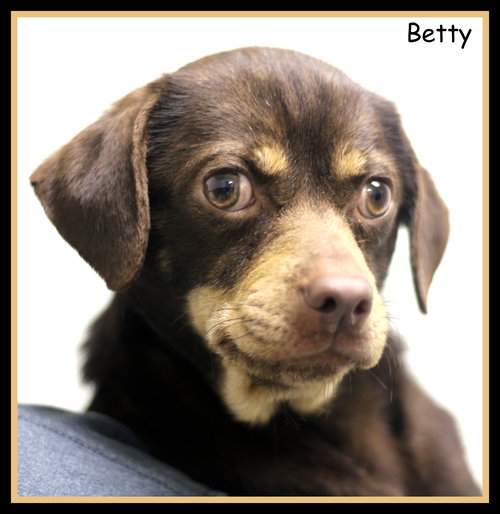 Betty
