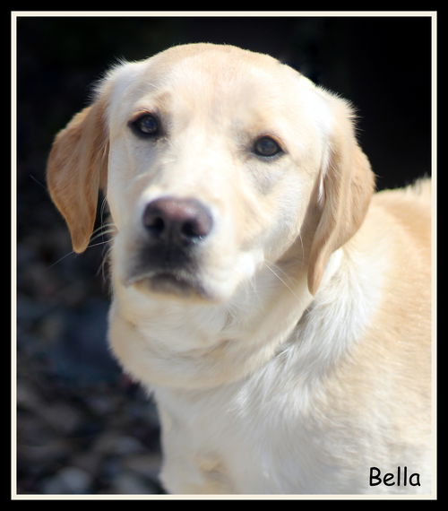 Bella