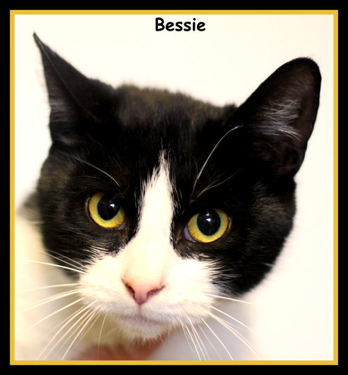 Bessie