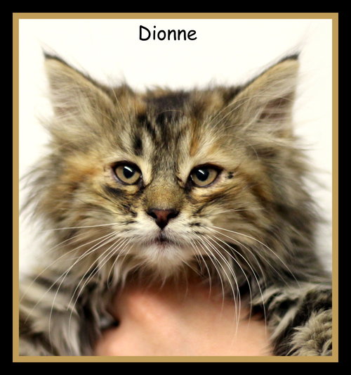 Dionne