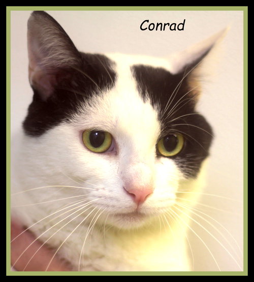 Conrad