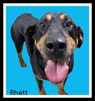 Rhett