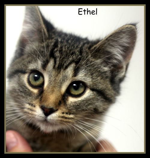 Ethel