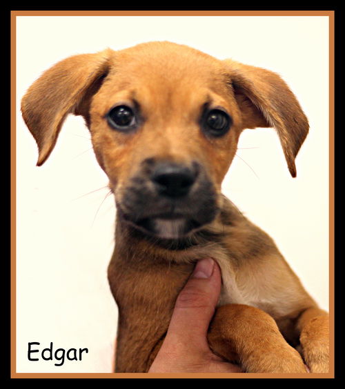 Edgar