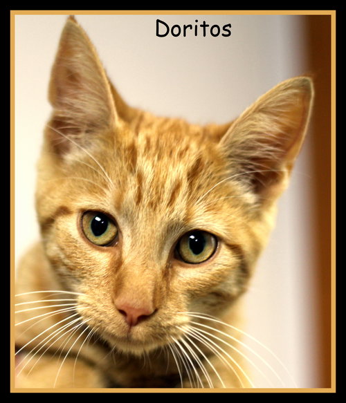 Doritos