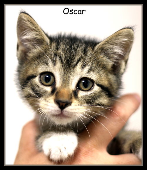 Oscar