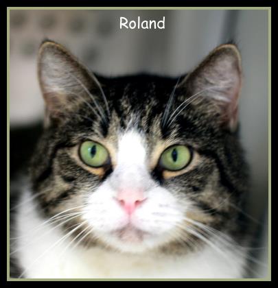 Roland