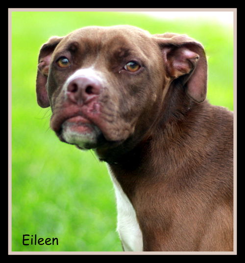 Eileen