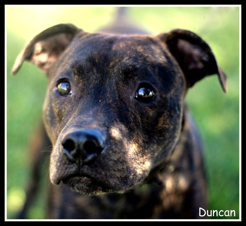 Duncan