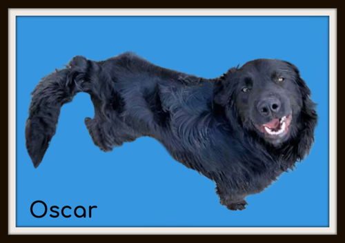 Oscar