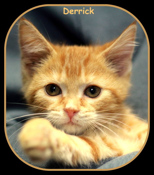 Derrick