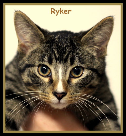 Ryker