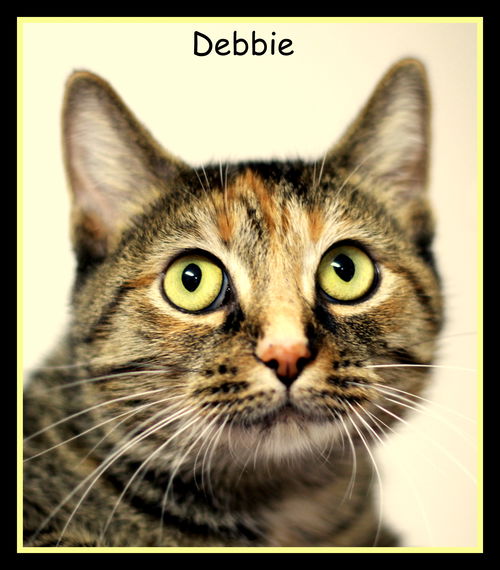 Debbie