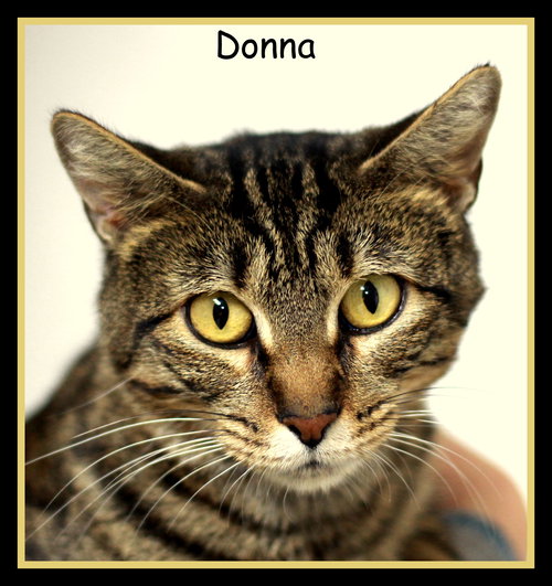 Donna