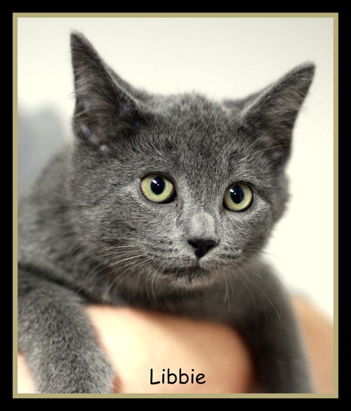 Libbie