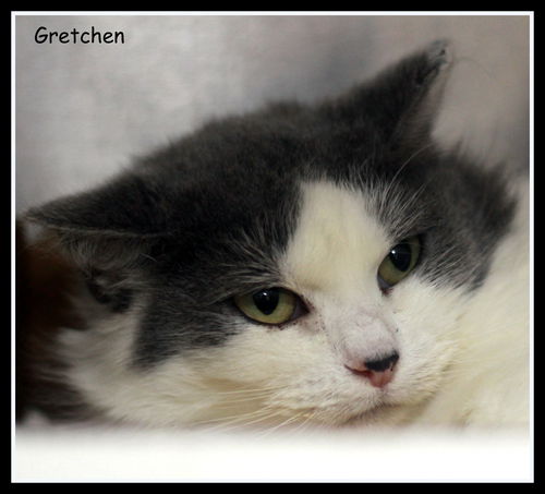 Gretchen