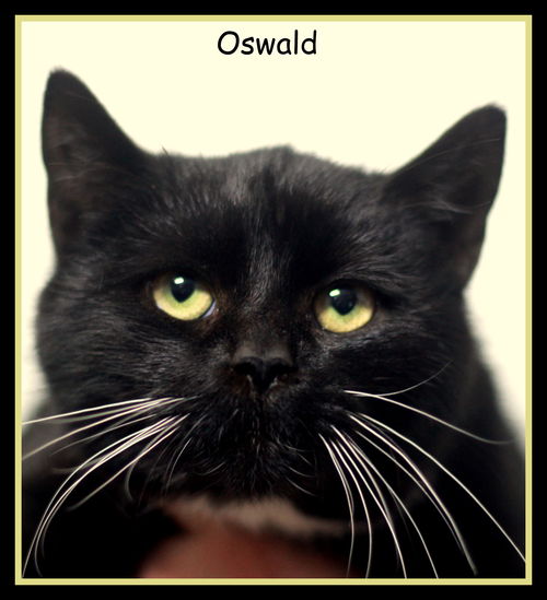 Oswald