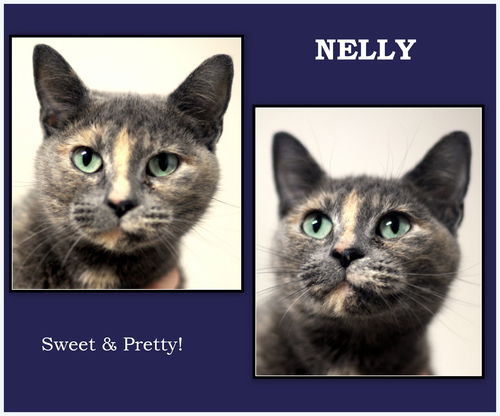 Nelly