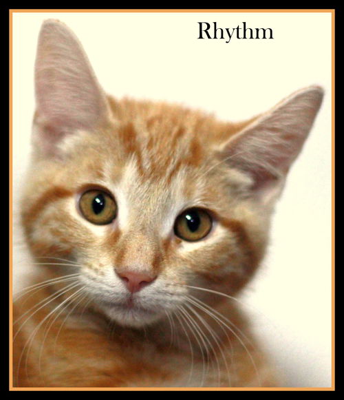 Rhythm
