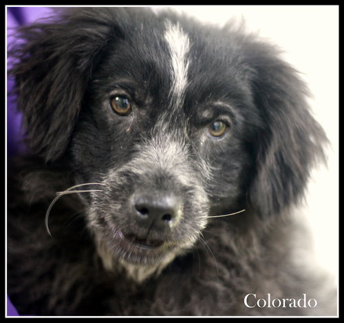 Colorado