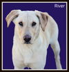 River