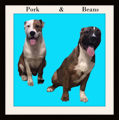 Beans