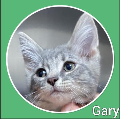 Gary