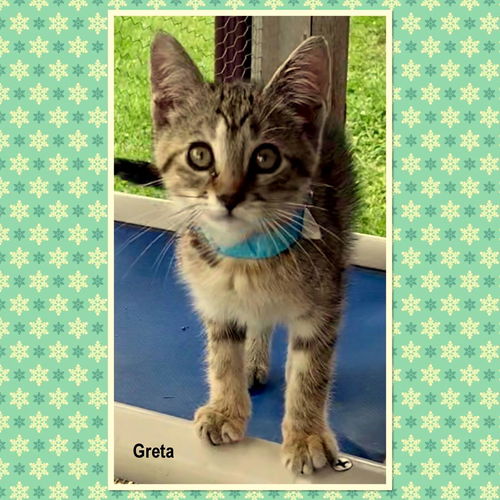 Greta
