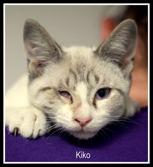 Kiko