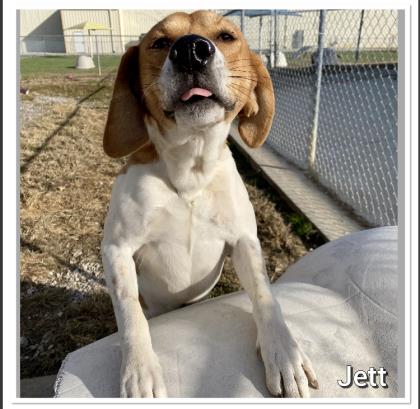 Jett