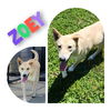 Zoey