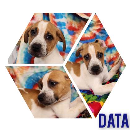 Data