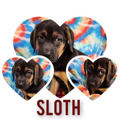 Sloth